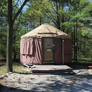 Yurt